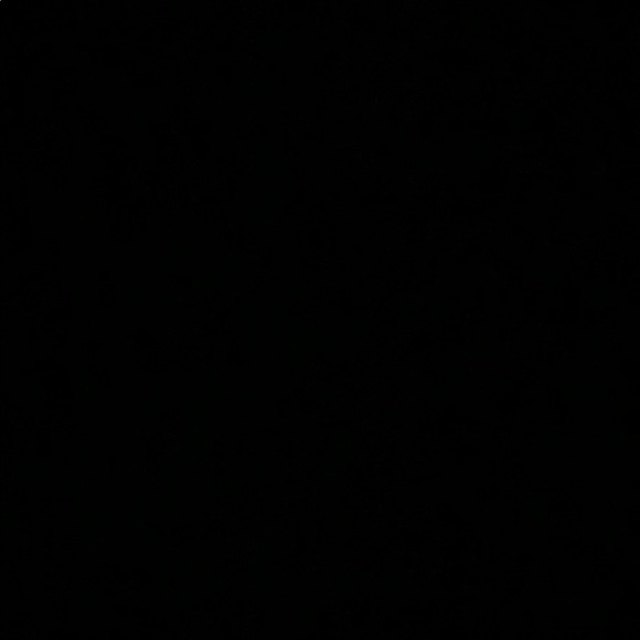 Meet your Posher, Maggie - Picture 1 of 1